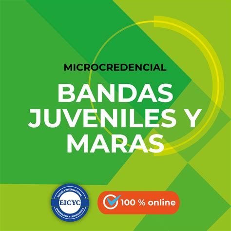 Microcredencial Bandas Juveniles Y Maras EICYC