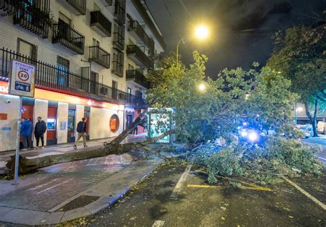 Sevilla desactiva el plan de emergencias tras más de 500 incidencias