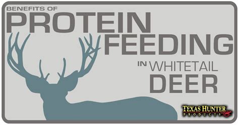 The Benefits Of Feeding Protein In Whitetail Deer