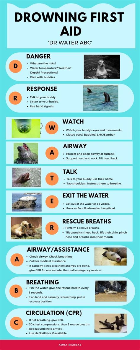 Drowning First Aid Illustrated With Seals And Sea Lions First Aid