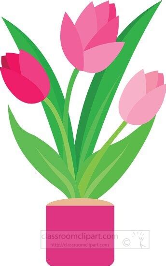 Flower Clipart-tulip spring flower in pot clipart