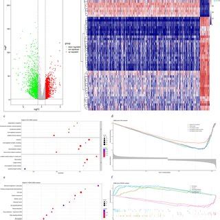 Enrichment Analyses Of The Degs From Exprset And Cnvs Analysis In Coad