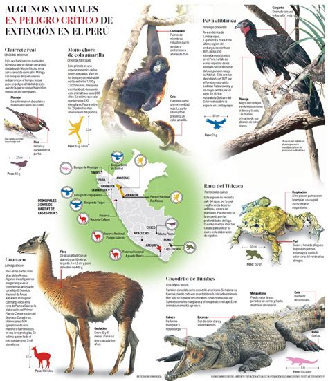 Pese a su diversidad el Perú carece de una política de protección