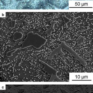 Light Optical Microscopy Micrograph A And Scanning Electron