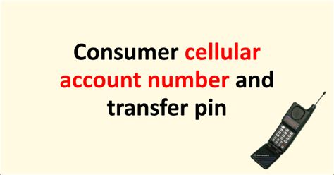 Consumer Cellular Account Number And Transfer Pin Port Out Process Port Out Pin Networkbuildz