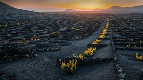 Bing HD Wallpaper Jul 14 2024 La Geria Wine Region Lanzarote Canary