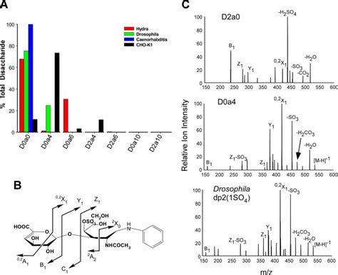 Gril Lc Ms Disaccharide Analysis Of Cs Isolated From Hydra Nematodes