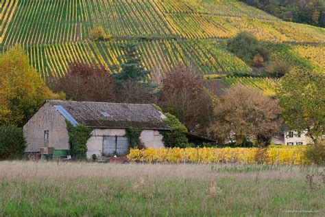 Exploring Luxembourg's Moselle | Christophe Van Biesen