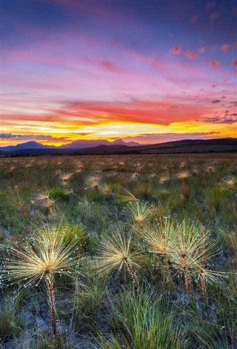 10 Belos Lugares Para Acampar No Brasil Desviantes Lugares Para