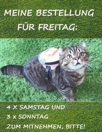 Pin von Ronja Ronja auf Freitags Wünsche Lustige tierfotos