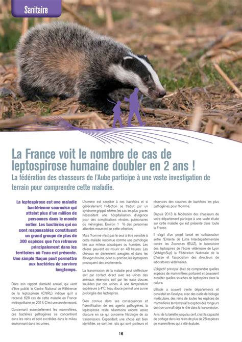 Le Chasseur De Laube Septembre 2016 Fédération Des Chasseurs De Laube