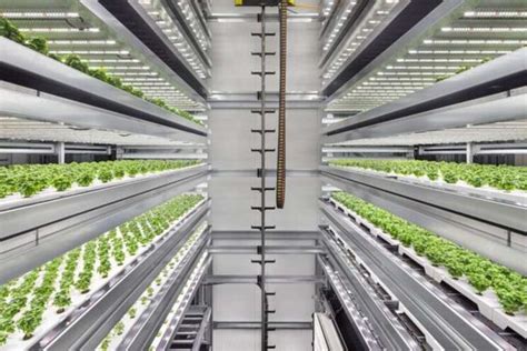 Infarm Announces New Vertical Farming Facility In Copenhagen Hortimedia