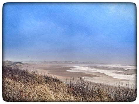 lifes  beach  driftwood lectures seaton sands hartlepool
