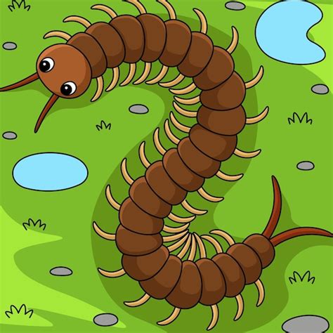 Centopeia Desenho Infantil - Ilustração colorida de desenho animado de animal centopéia | Vetor Premium