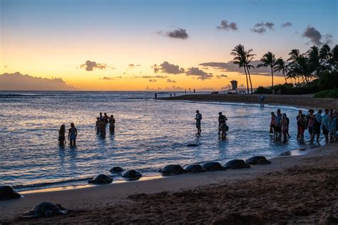 Kauai, Hawaii - Poipu Beach — The Johnson Family