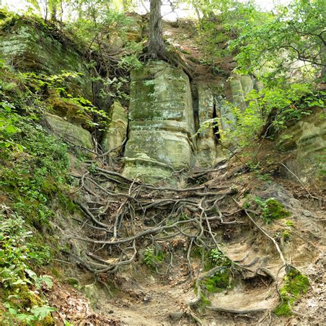 Starved Rock State Park