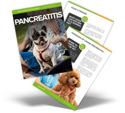 Dog Pancreatitis Diet Plan & Feeding Guide | The Canine Nutritionist