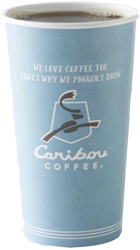 Anytime Coffeee Caribou Coffee Hot Cups 50 Count