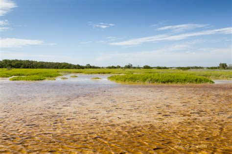 Hiking Florida – Flamingo, Everglades National Park | Nick Botner