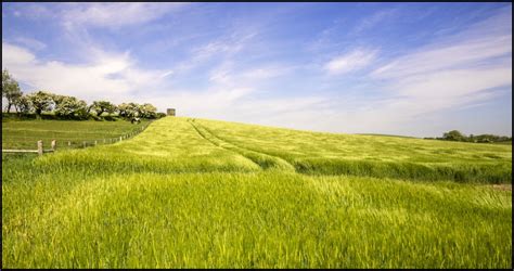 Wheat Field, County Down, Northern Ireland by digichromeed | ePHOTOzine