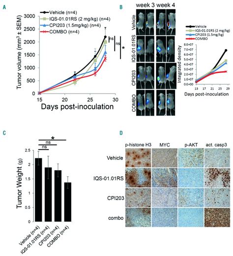 Pharmacological Modulation Of CXCR4 Cooperates With BET Bromodomain