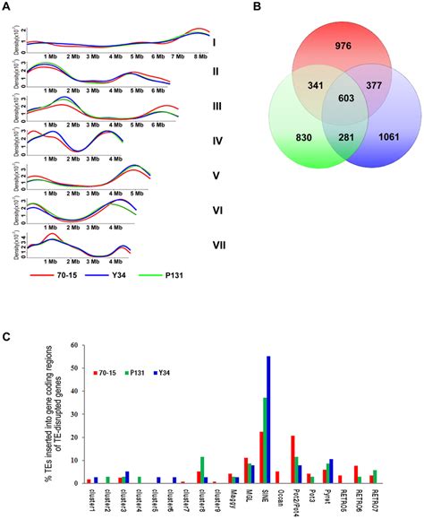 Transposable elements (TEs). (A) Distribution of TEs on seven ... 
