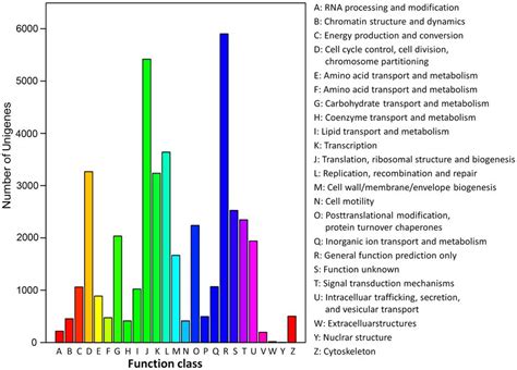 Clusters Of Orthologous Group Cog Classification In Total Of