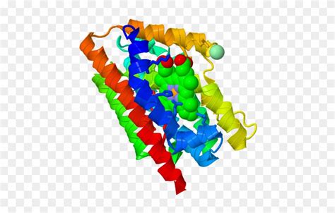 Crystal Structure Of Human Heme Oxygenase 1 - Crystal Structure Of ...