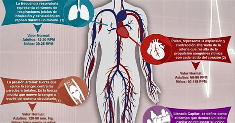 Ems Solutions International Marca Registrada Signos Vitales Por Edades Presion Tension