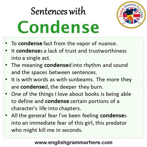 Sentences With Envision Envision In A Sentence In English Sentences