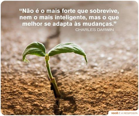 Não é O Mais Forte Que Sobrevive Frase Do Dia Mensagem De Reflexão