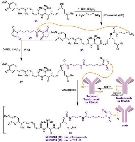 Marine Drugs Free Full Text Antibody Drug Conjugates Containing