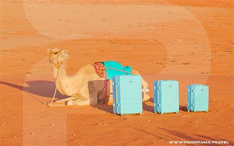 OMAN EXCLUSIVE TOUR PACKAGES