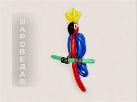 Попугай Ара из шаров шдм Твистинг Parrot from balloons Twisting YouTube