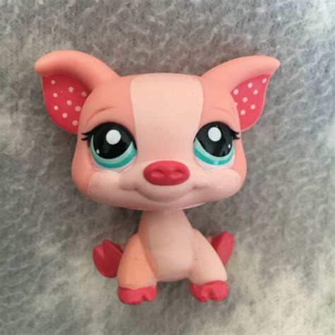 Pig 1544 Littlest Pet Shop Collectors Wiki Fandom