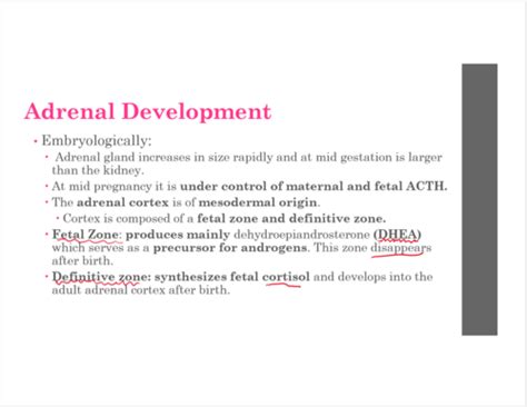 Adrenal Disorders Flashcards Quizlet