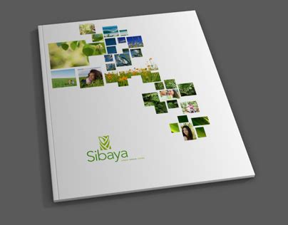 Sibaya Projects :: Photos, videos, logos, illustrations and branding ...