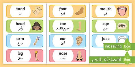 Grade 1 Unit 2 English Word Cards Kuwait Teacher Made