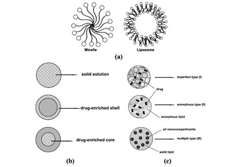 Schematic Representations Of Lipid Based Nanostructured Systems Used Download Scientific