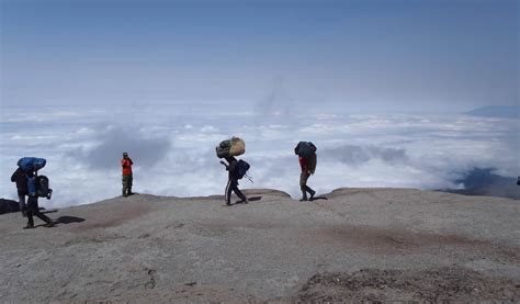 Kilimanjaro Lemosho Route | Adventure Peaks