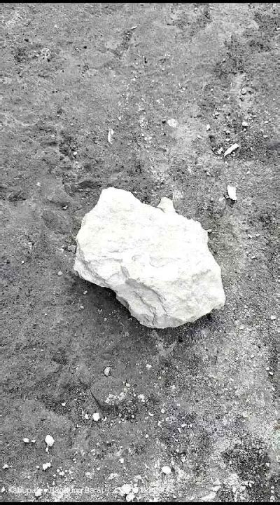 kg kapur aktip bongkahan kapur sirih aktip kapur tohor ca