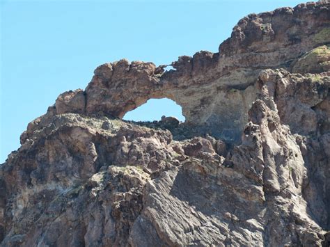 Southwest Birdingnana: Organ Pipe National Monument