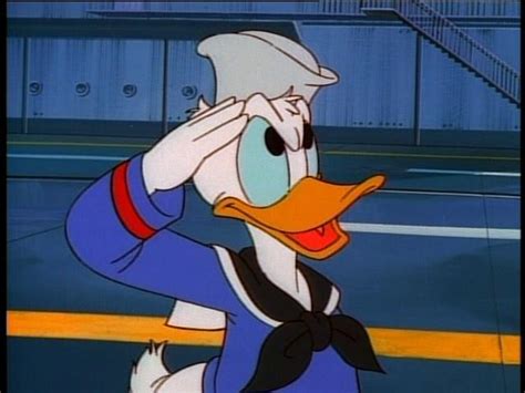 Donald Duck Scared