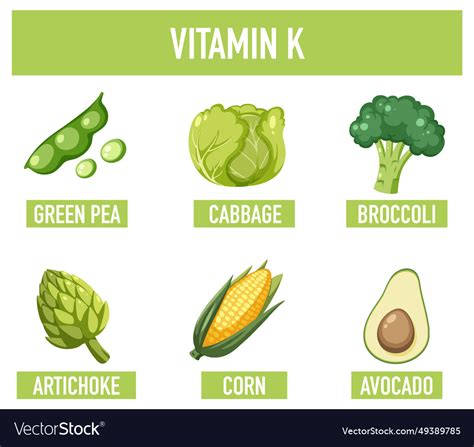 Educational Poster Foods Containing Vitamin K Vector Image