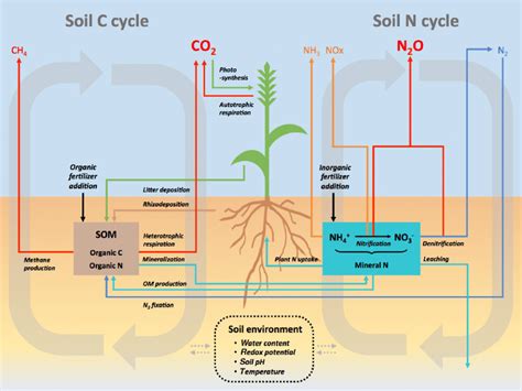 The Reasoning Of Nitrogen Fertilization By Digital Tools A Rather