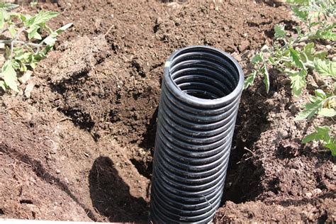 Camp Wander How To Deep Water Tomato Plants Vertical Vegetable