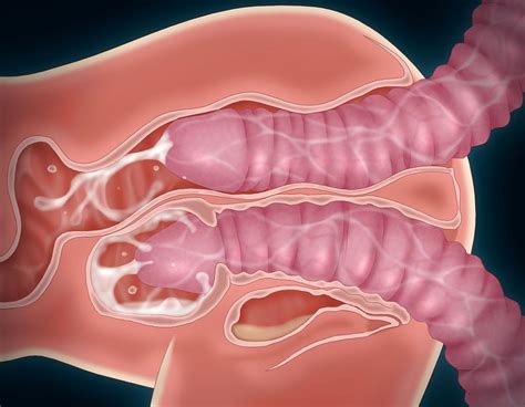 Hentai 01 Porn Pictures XXX Photos Sex Images 5962 PICTOA