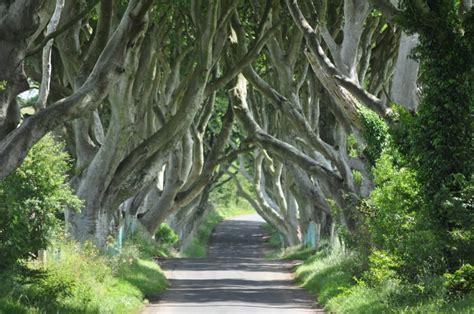 9 Game Of Thrones Locations in Northern Ireland You Have To Visit ...