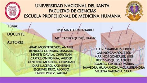 Universidad Nacional Del Santa Escuela Profesional De Medicina Humana