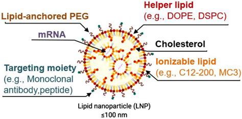 Biodrug Delivery Systems: Do mRNA Lipid Nanoparticles Come of Age?